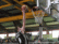 GabrielliM_003.gif