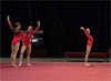 acrogym_mini.gif